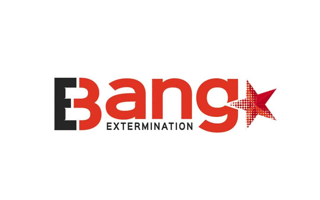 Bang Extermination